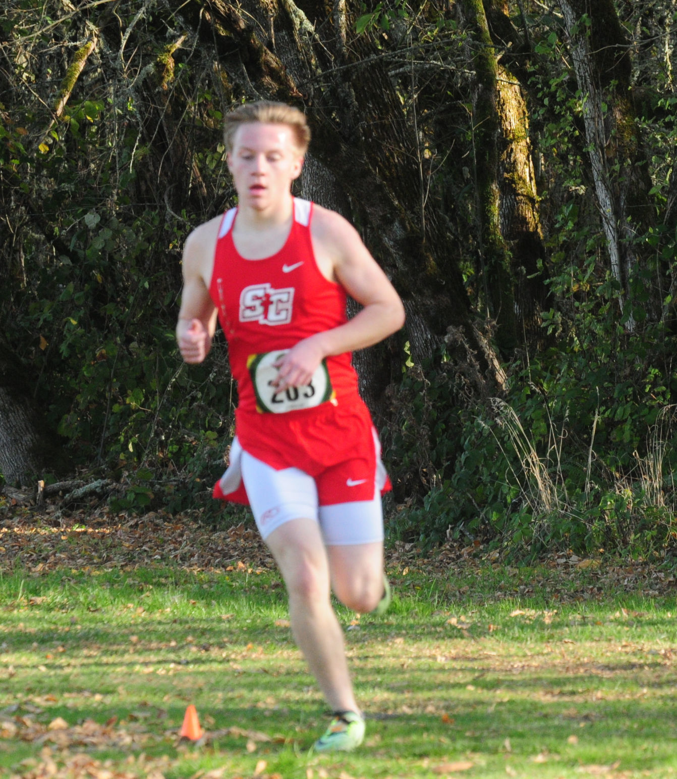 3A/2A/1A District cross-country